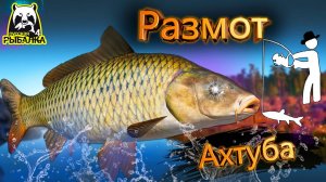 RF4 БЕРЕГИСЬ ОНИ МОГУТ РАЗМОТАТЬ ДО ПОТА #рр4