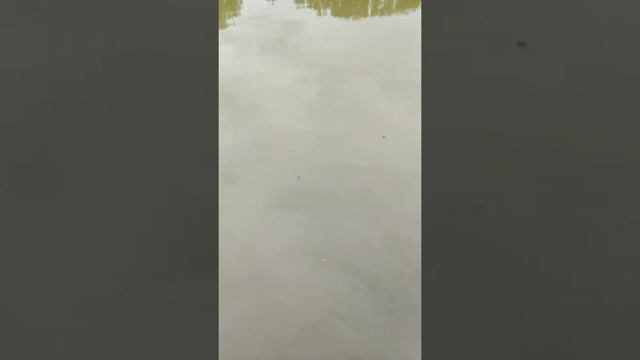 Водная проблема реки еруслан смотреть онлайн