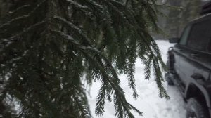 Лес | Заснеженная дорога | Тестирую горелку BRS-12A