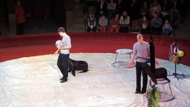 Национальный цирк Украины, 12 месяцев-10 смотреть онлайн