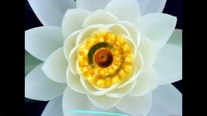 Мантра почитания к Полной Части Абсолюта, призвания Высших сил