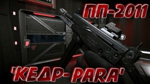 ПП-2011 'Кедр-Para' макрос в точку. Warface