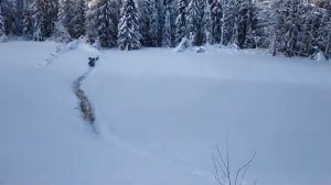 АКТИВНЫЙ ОТДЫХ НА СНЕГОХОДАХ 08.01.22. Автор видео Сергей Швецов.