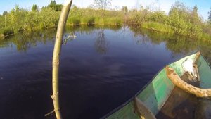 Рыбалка фитилями, ловим карася