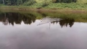Рыбалка в Архангельской области. Часть 1