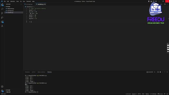 Mastering Python Variable Naming: Best Practices and Tips || Bangla