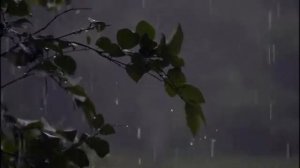 самая  грустная мелодия