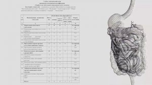 Морфология заболеваний пищеварительной системы, в объеме 36 часов