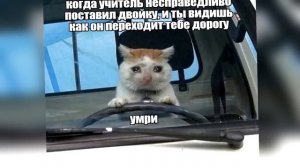 УПОРОТЫЕ МЕМЫ ПРО ШКОЛУ - ТЕБЯ В ШКОЛУ ВО СКОЛЬКО РАЗБУДИТЬ?? ЛЕТОМ!