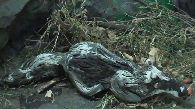 Про медвежонка смотреть онлайн