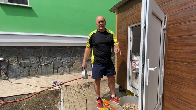 Как и чем кормлю голубей. смотреть онлайн