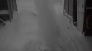 Приставка триммер плюс чистит снег более 30 см высотой