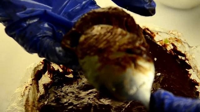 Шикарные конфеты из сгущенки! Вкусно и Быстро! смотреть онлайн