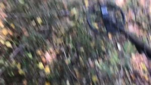 МНОГО  ВЕРХОВОГО МЕТАЛЛА. БОЛОТНЫЕ ТРАКИ, КАТКИ. МЕТАЛЛОКОП НА ТОРФЯНИКАХ. НАШЛИ НЕКОПАННОЕ МЕСТО.