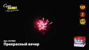 Батарея салютов - Прекрасный вечер