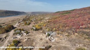 Попенки-камчатка, октябрь 2023.