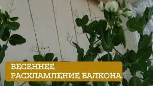 Весенние расхламление балкона.  | Организация мини-огорода на балконе.