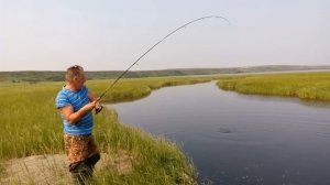 Щука рвет вольфрамовый поводок