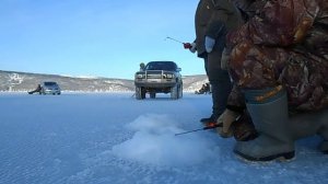 Ловля корюшки 06 01 2021 Магадан бухта Нагаевская