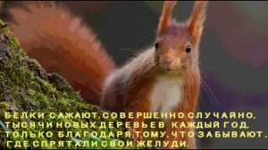 💎🌸 🦄КАНАЛ ПОЛЕЗНЫЕ МУЛЬТИКИ🌼РУБРИКА
🍀НУ ПОЧЕМУ?🌼 
🎒ИНТЕРЕСНО
🎒ПОЗНАВАТЕЛЬНО 
🎒ДЛЯ ДЕТЕЙ