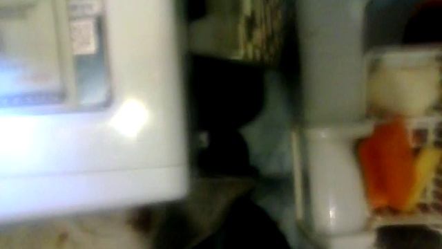 Обзор: банкноты 20 долларов США