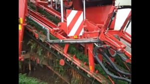 Уборка моркови комбайном Симон от завода Колнаг.mp4
