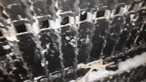 Охота на соболя.