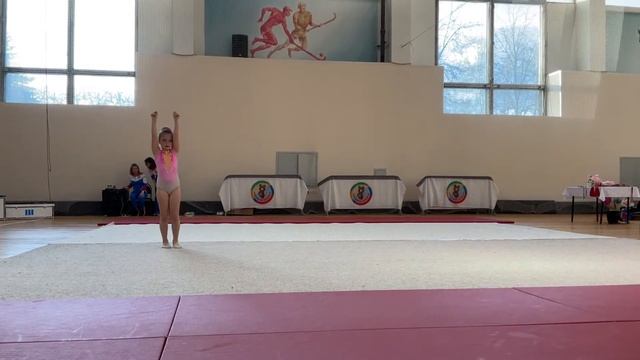 Художественная гимнастика смотреть онлайн