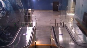 Новокрестовская и Беговая — новые станции Петербургского метро. Первый день работы.