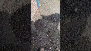 Подсыпка асфальтная крошка основание под плитку и тд