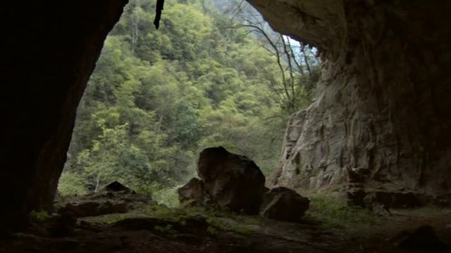 Дикий Китай - Сердце Дракона 1 часть смотреть онлайн