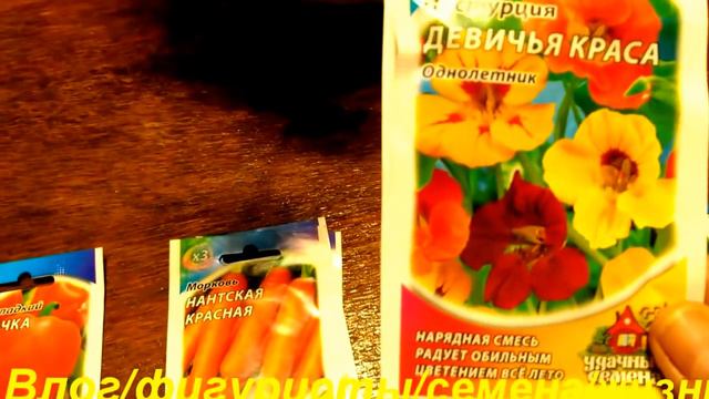 Купила семена🌿🌺.Глоксиния проснулась🌺