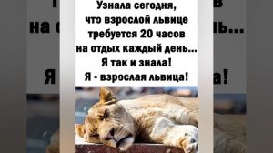 С юмором о нас - девочках  ?