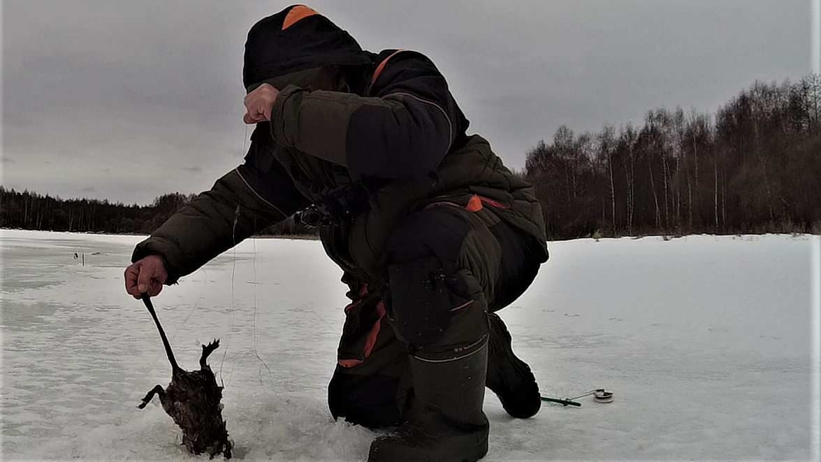 Первый лед последний лед