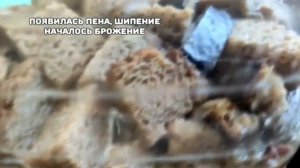 Домашний квас без дрожжей .Простой рецепт приготовления хлебного кваса.