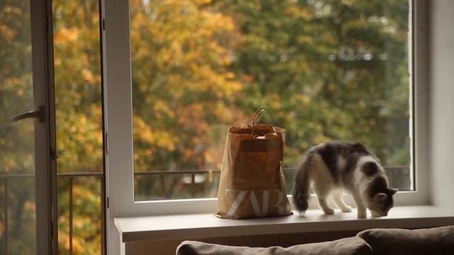 ИДЕИ ДЛЯ ОСЕННИХ ФОТО В ИНСТАГРАМ / "ОСЕННИЙ МАРАФОН" №2 смотреть онлайн