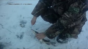 Как безопасно извлечь крючок из пасти щуки. 23/12/2017