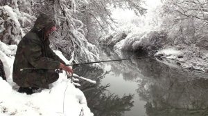 Кефали на малка река