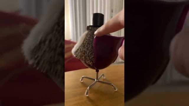 Ёжик смотреть онлайн