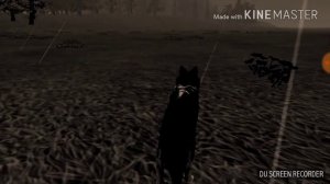 Волк-одиночка|wildcraft|истории_wildcraft