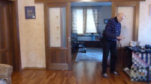 Дрессировка бордер-колли. Упражнения у места. 3 формы социального взаимодействия