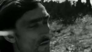 1976 год. Тюменский район. Молодежно-спортивный лагерь