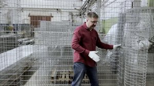 Декоративные заборы из сетки и камня