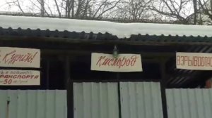 15. Отделение пограничной патологии / Zimbra & дьячок Александр