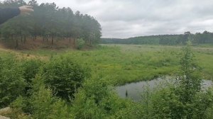 Шимановск, старый пляж. Июнь 2020г.