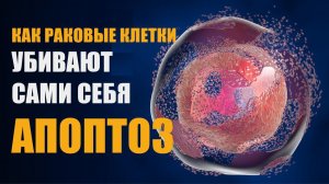 КАК ПОМОЧЬ СЕБЕ ПРИ ОНКОЛОГИИ. АПОПТОЗ. Центр практической психологии им. А.Арбузова