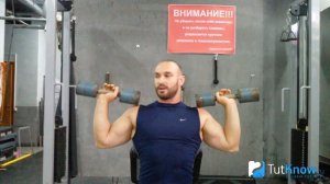 Жим гантелей сидя: техника упражнения и советы