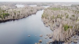 Поддуюское озеро Лужского р-на Ленинградской области.