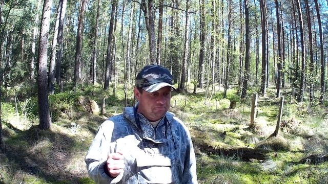 Сингапур задерживает посылки  на долго, жмёт посылки, и почти не отправляет их! проверяем на трек 2