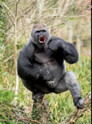 2022-06-10 лучшие приколы